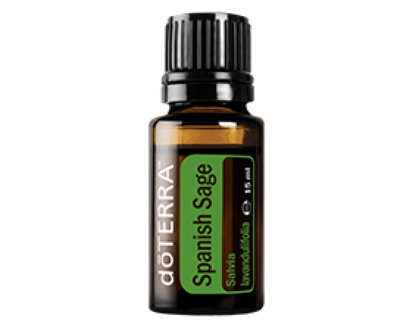 Spanish Sage (Spanischer Salbei) Salvia lavandulifolia  15 ml. Flasche